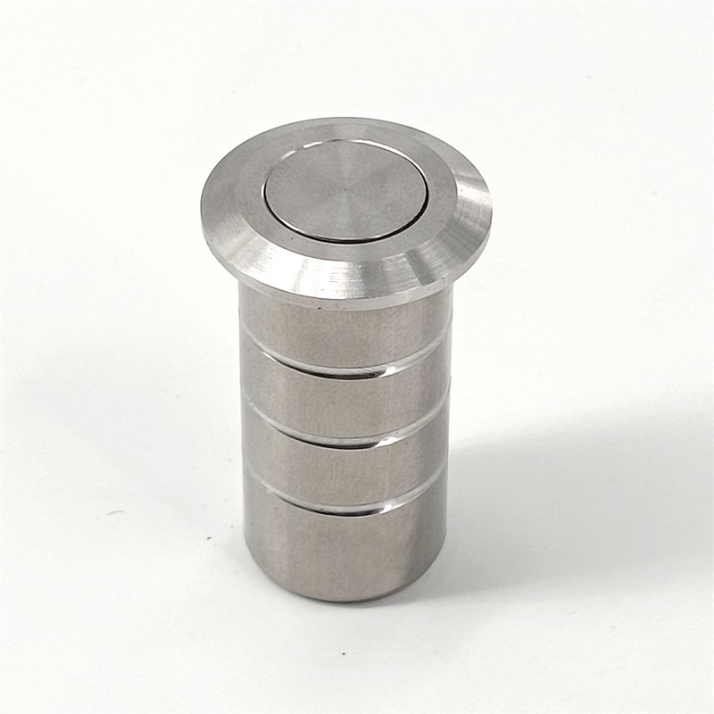 Latch Dust Protector